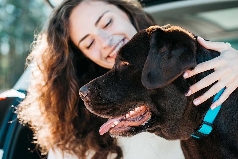Hund und Hundehalterin sind ein Team